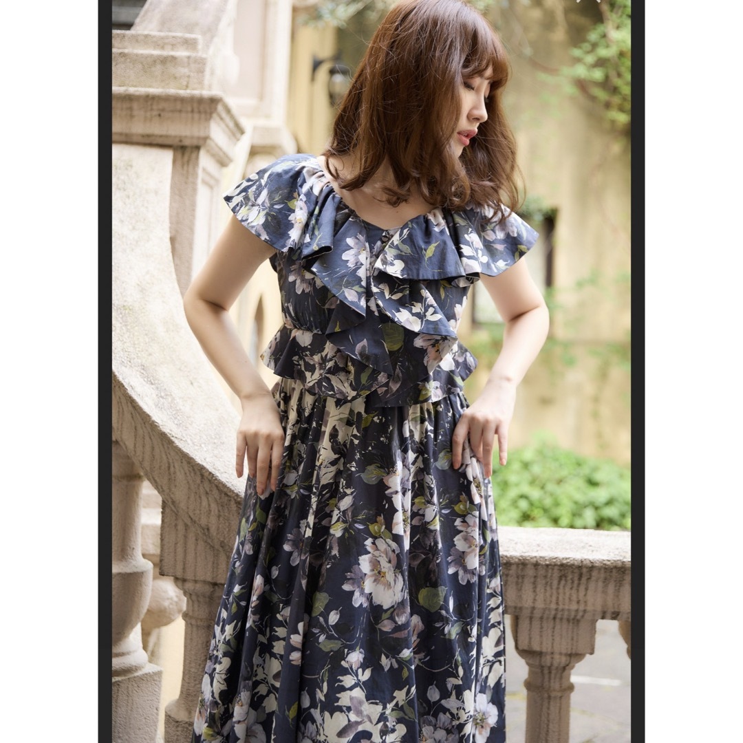 Anemone Ruffled Long Dress | capacitasalud.com