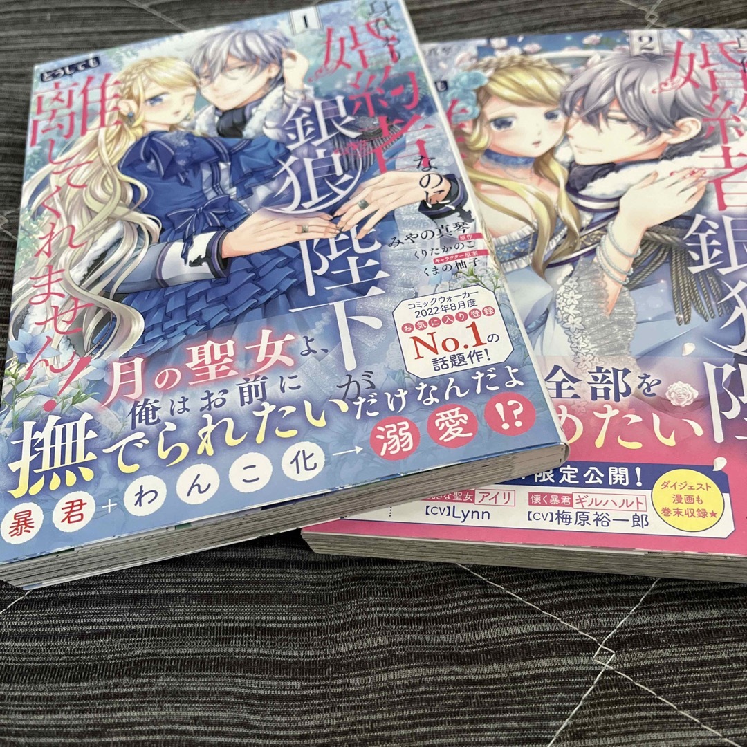 身代わり婚約者なのに、銀狼陛下がどうしても離してくれません！ ２ エンタメ/ホビーの漫画(その他)の商品写真