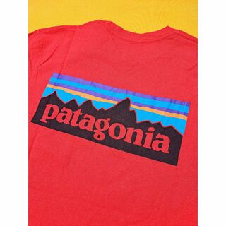 パタゴニア(patagonia)のパタゴニア P-6 Responsibili-Tee S STTR 2018(Tシャツ/カットソー(半袖/袖なし))