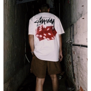 ステューシー(STUSSY)のSTUSSY - DICED OUT TEE(Tシャツ/カットソー(半袖/袖なし))