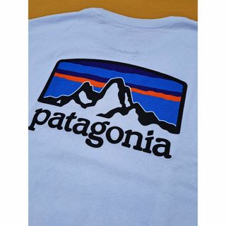 パタゴニア(patagonia)のパタゴニア Fitz Responsibili-Tee M WHI 2020(Tシャツ/カットソー(半袖/袖なし))