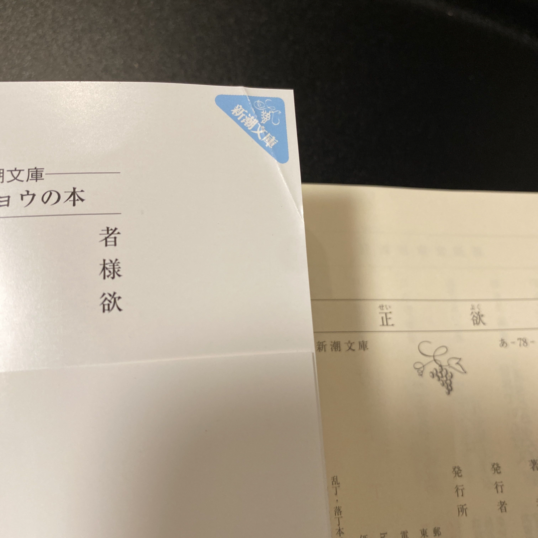 新潮文庫(シンチョウブンコ)の正欲　文庫本　朝井リョウ エンタメ/ホビーの本(文学/小説)の商品写真