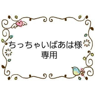 ディズニー(Disney)のちっちゃいばあは様専用　水筒肩紐カバー　フロムオールオブアス②　おまとめ(外出用品)