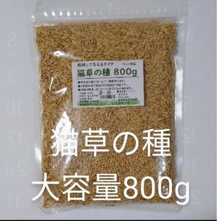 【猫ちゃんの健康のために】猫草の種800g えん麦 食べられる草の種(ペットフード)