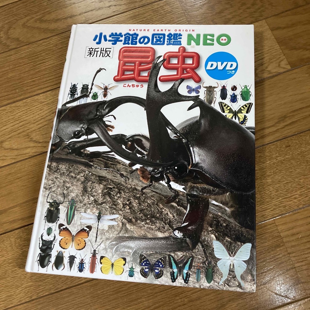 小学館の図鑑 NEO DVD 6枚セット - キッズ/ファミリー 小学館の図鑑 NEO DVD 6枚セット - キッズ/ファミリー