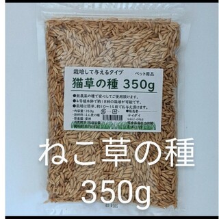 【お買い得】猫草の種350g 食べられる草の種 えん麦(ペットフード)