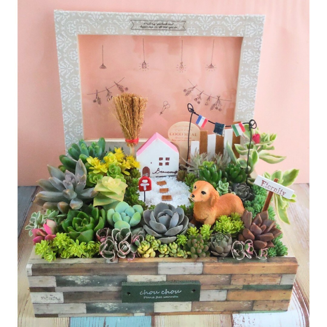 ちまちま寄せ多肉植物の寄せ植え️♡コレクションBOXの中のナチュラルガーデン♡