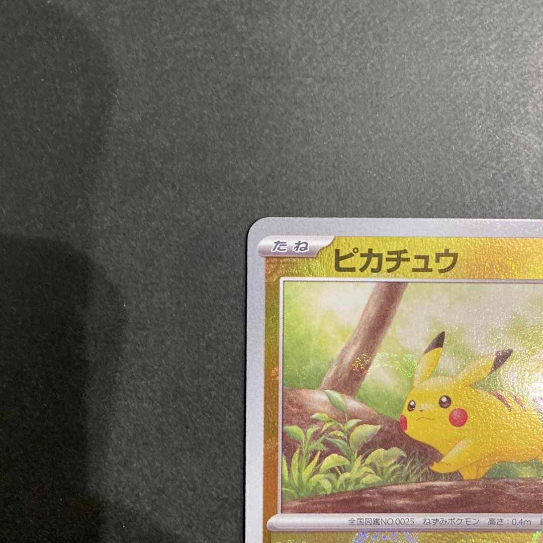 ピカチュウ マスターボール ミラー ピカチュウ マスターボール ミラー