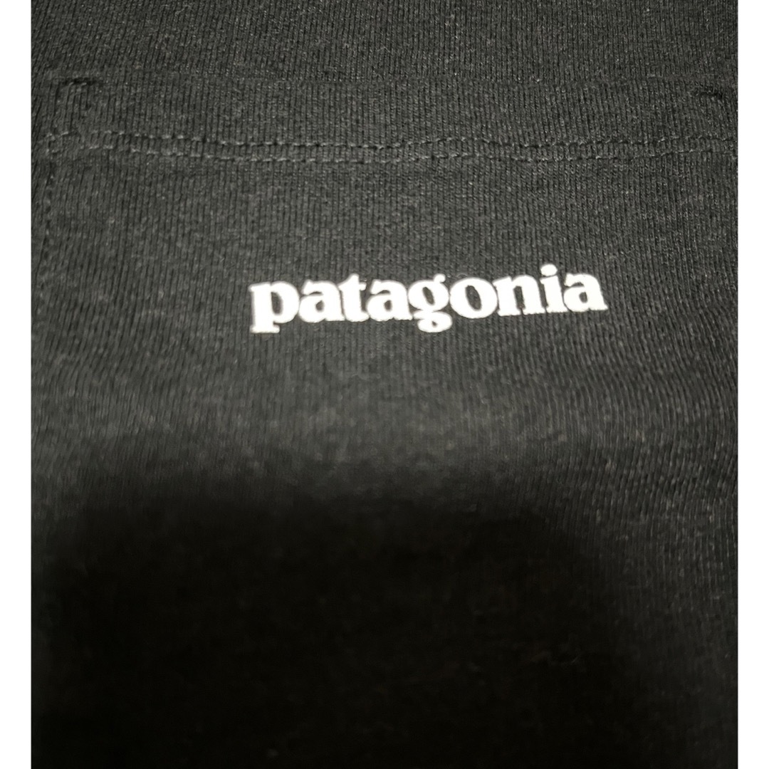 patagonia(パタゴニア)の⭐︎しの様⭐︎Patagonia パタゴニア  メンズのトップス(Tシャツ/カットソー(七分/長袖))の商品写真