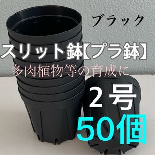 【スリット鉢】プラ鉢直径6cm 2号　50個セット【新品】ブラック(プランター)