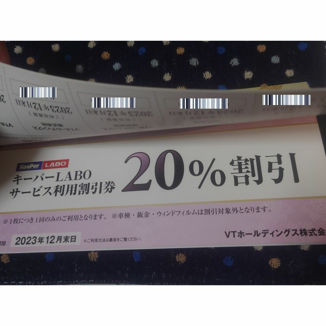 VTホールディングス キーパーラボ20%割引券付 2023/12/31迄 1冊 チケットの優待券/割引券(その他)の商品写真