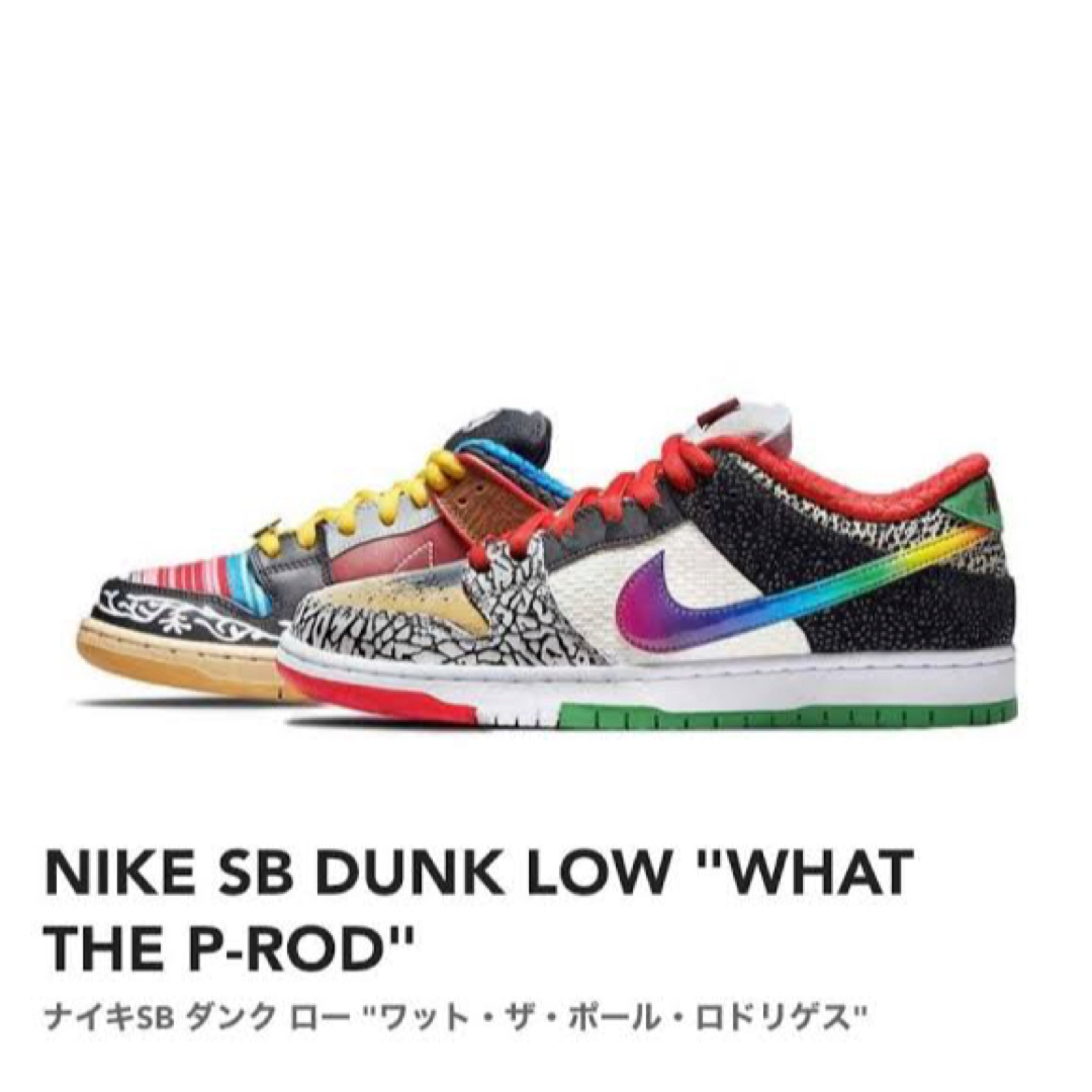 NIKE SB DUNK LOW PRO ワッド.ザ.ポール 27