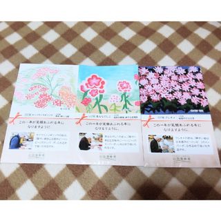 ヤマダヨウホウジョウ(山田養蜂場)の山田養蜂場の🏵花の種🌼３種セット！！(その他)