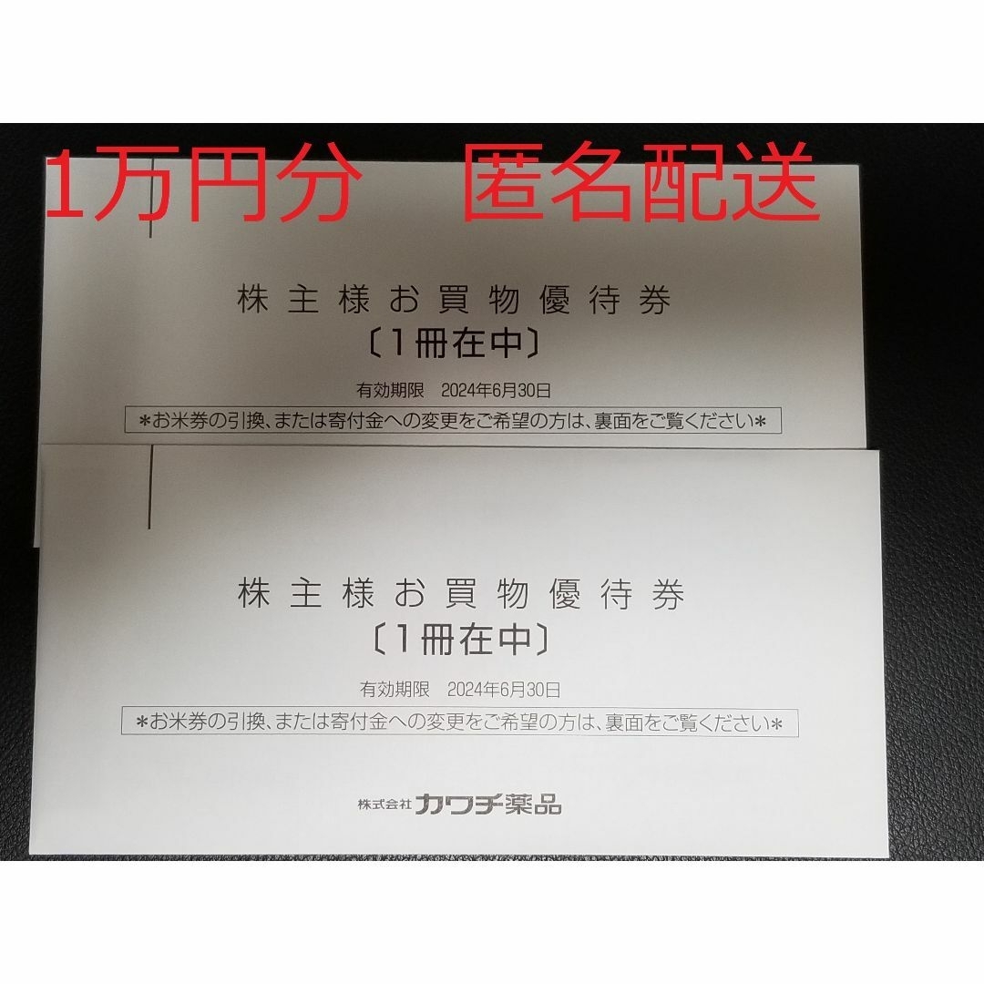 匿名配送　カワチ薬品 株主優待  １万円分