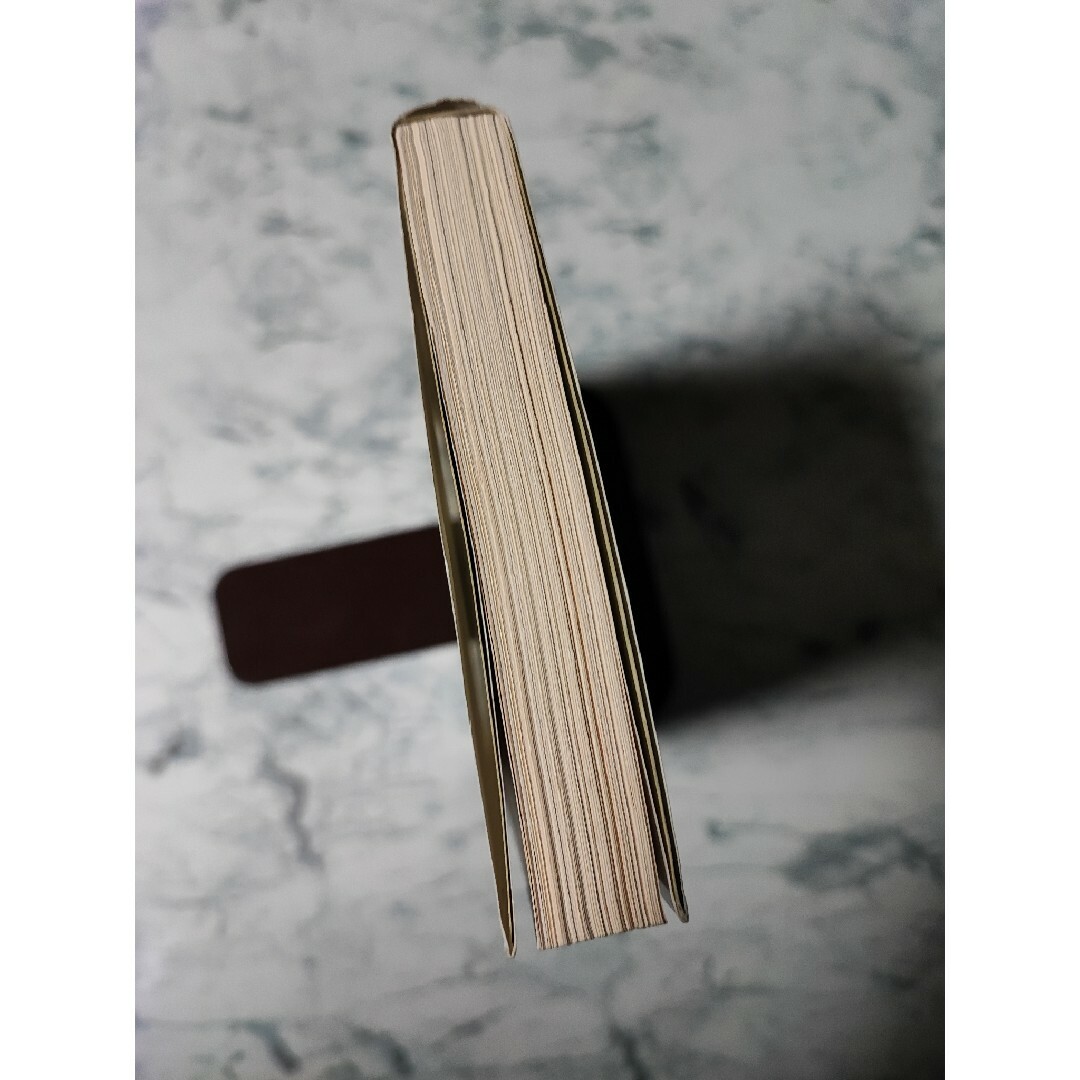 Ｓｅｌｆ－ｒｅｆｅｒｅｎｃｅ　ｅｎｇｉｎｅ エンタメ/ホビーの本(文学/小説)の商品写真