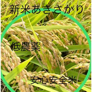 低農薬　令和4年産あきさかり　玄米10キロ(米/穀物)