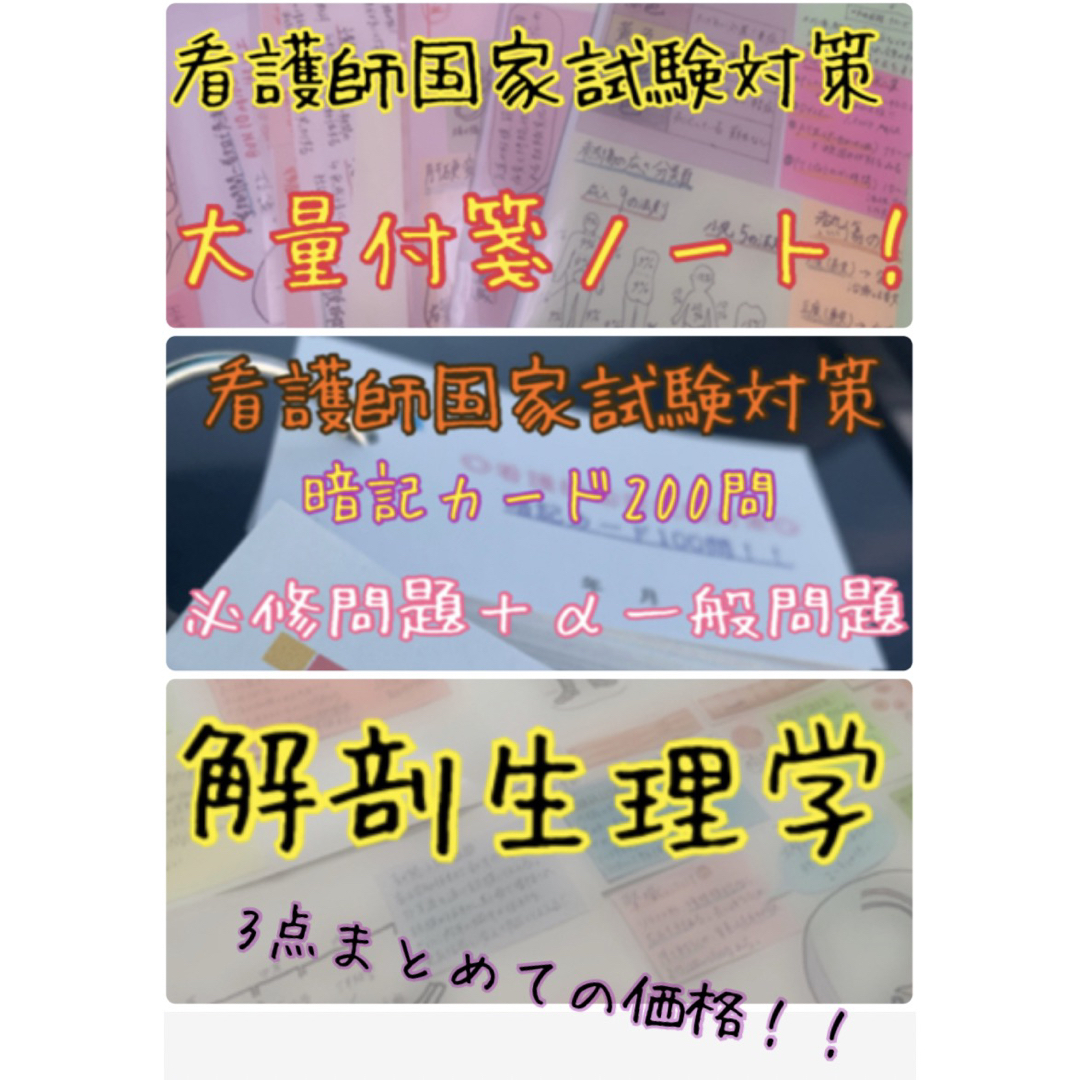 東アカまとめ価格！看護師国家試験対策 大量付箋 暗記カード 解剖生理学 付箋ノート