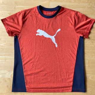 プーマ(PUMA)のPUMA 半袖Tシャツ　160(Tシャツ/カットソー)