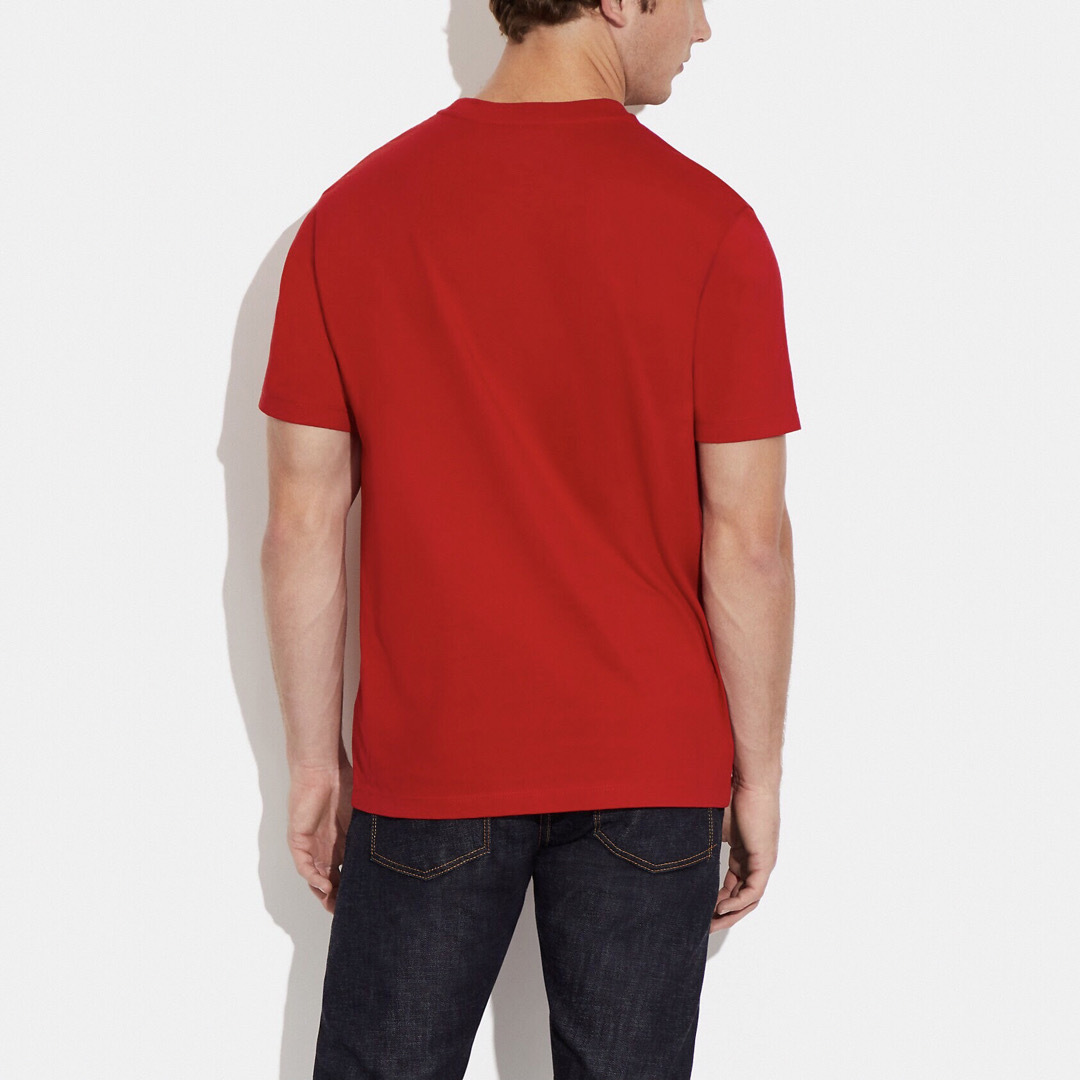 【新品タグ付】COACH コーチ スキー パッチ シグネチャー Tシャツ XL