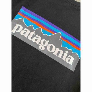 パタゴニア(patagonia)のパタゴニア　Tシャツ(シャツ)