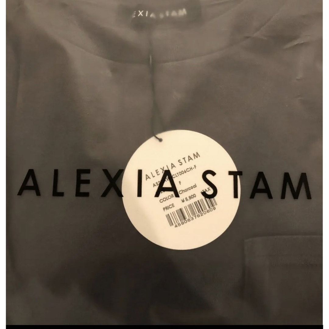 新品未使用ショッパー付アリシアスタン ALEXIA STAM Tシャツチャコール