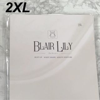 2XL(3L)＊ブレアリリー タンクトップ型コルセット 補正下着 大きいサイズ(その他)