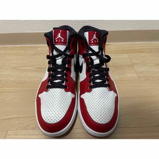 Jordan Brand（NIKE） - 新品未使用 29cm Nike Air Jordan