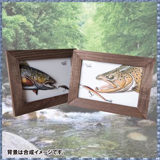 3D立体イラスト【ブラウン＆ブルックトラウト】プレゼント・景品・コレクションに(リール)