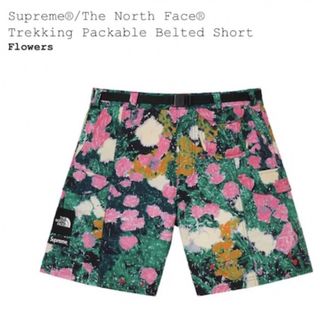 シュプリーム(Supreme)のsupreme THE NORTH FACE belted short(ショートパンツ)