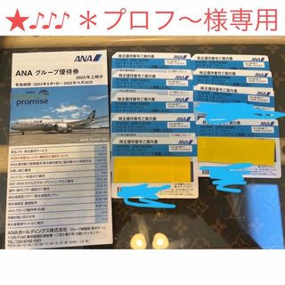 エーエヌエー(ゼンニッポンクウユ)(ANA(全日本空輸))の★♪♪♪様　専用(航空券)