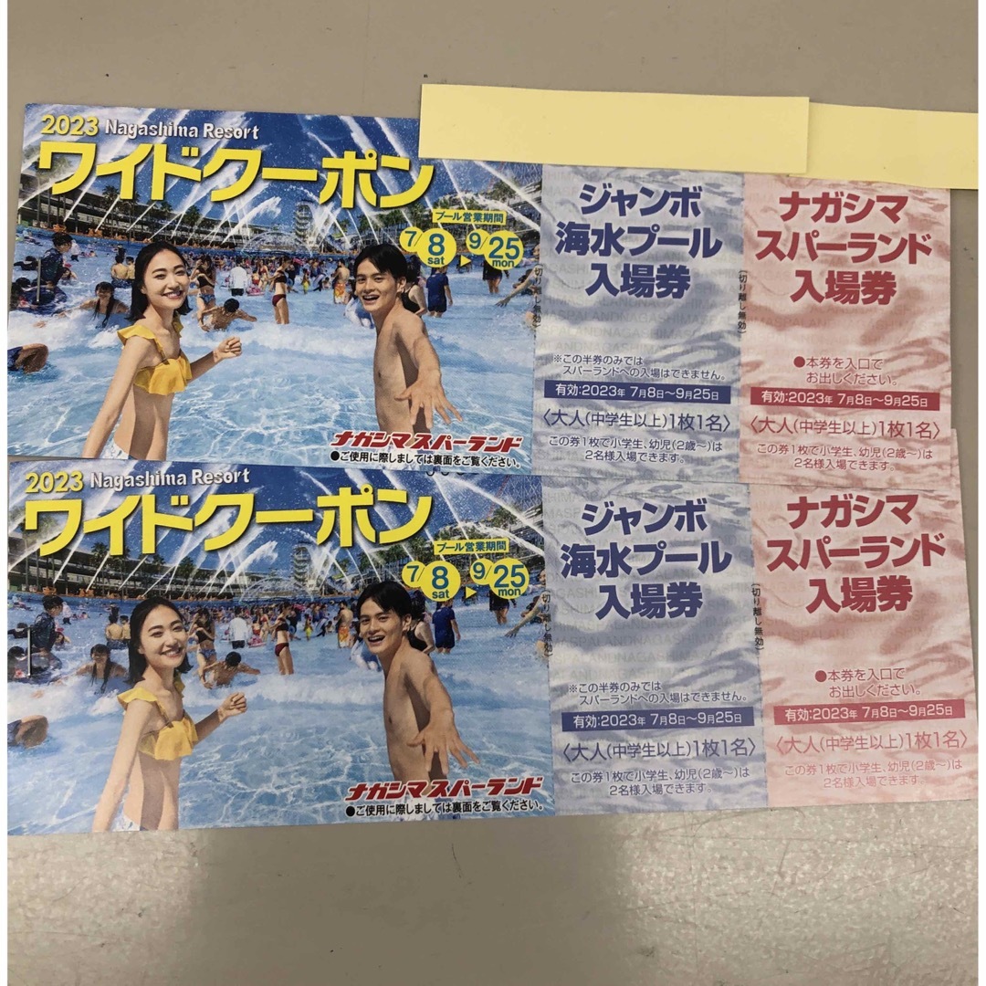 ナガシマスパーランドプール ワイドクーポン2冊 www.krzysztofbialy.com