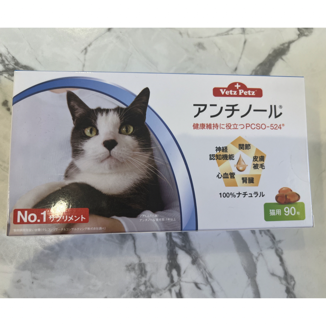 アンチノール　猫用　新品未開封