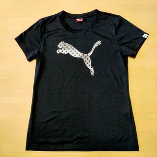 プーマ(PUMA)の【美品】プーマ  Tシャツ  サイズM(Tシャツ(半袖/袖なし))