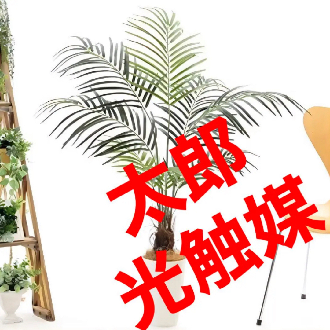光触媒 人工観葉植物 ウォールグリーン フェイクグリーン アレカパーム