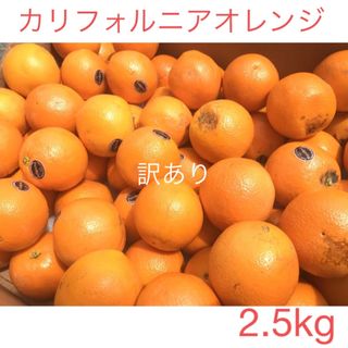 カリフォルニアオレンジ　2.5kg 訳あり品　フルーツ　果物(フルーツ)