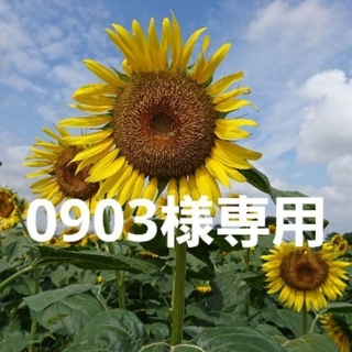 0903様専用(音楽/芸能)