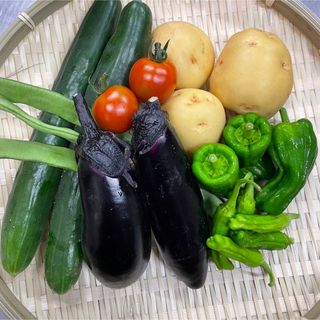 兵庫県産　農薬不使用　夏野菜お楽しみセット　農家直送(野菜)