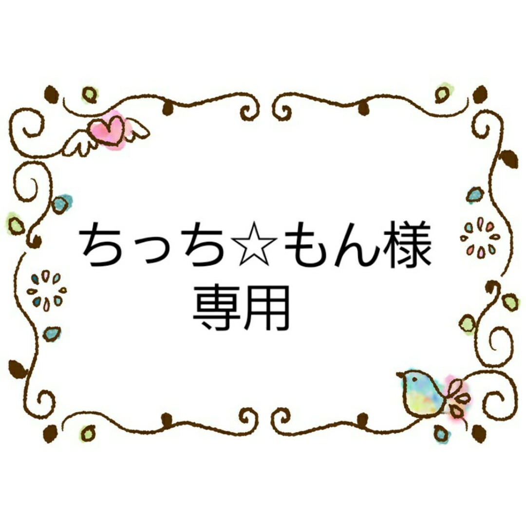 ポケモン(ポケモン)のちっち☆もん様専用　水筒肩紐カバー　ポケモン①、④おまとめ ハンドメイドのキッズ/ベビー(外出用品)の商品写真