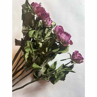ドライフラワー　花材　素材　単品　薔薇ピンク5本セット✿(ドライフラワー)