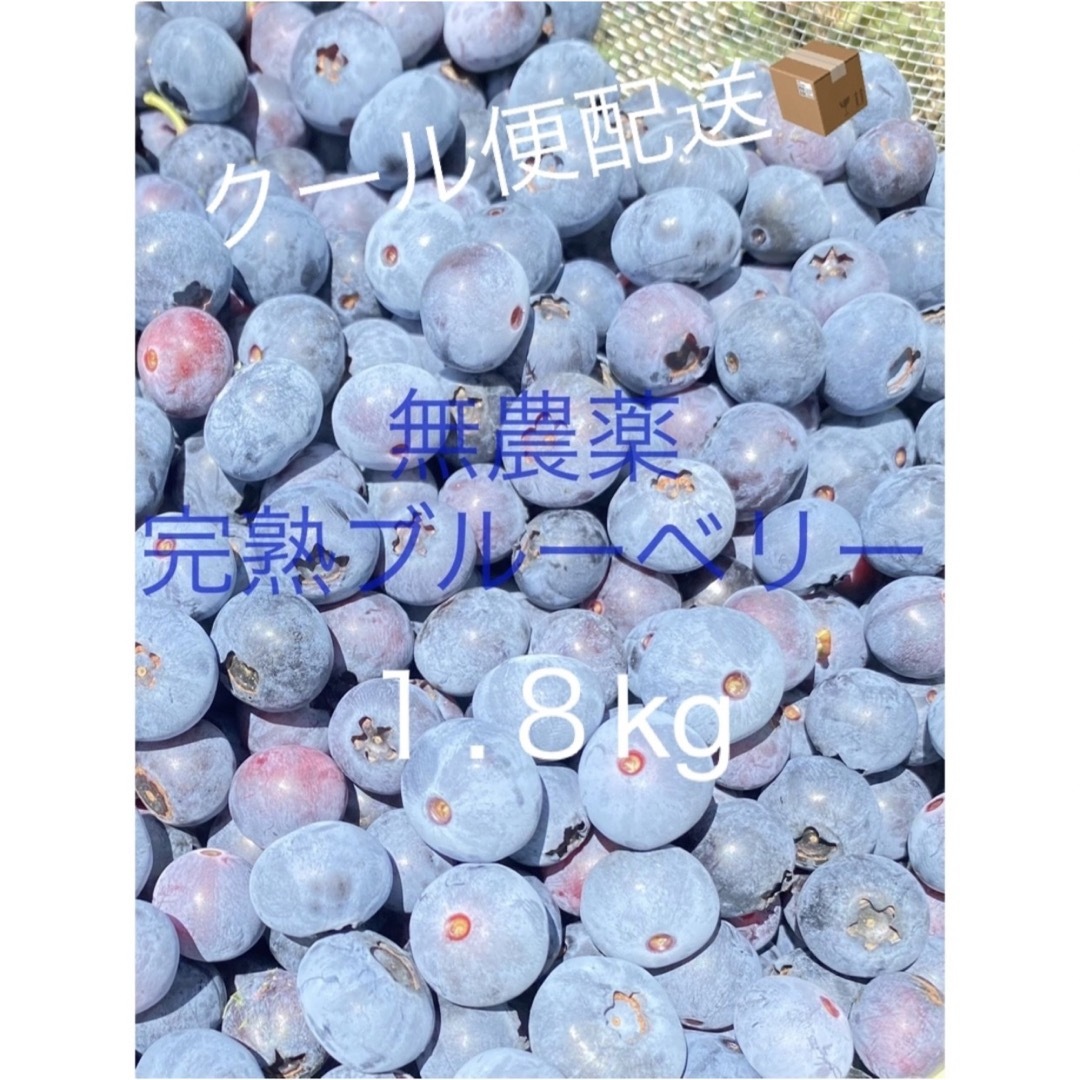 旬の時期です♡クール便送料込み❤︎贈答用無農薬生ブルーベリー1.8