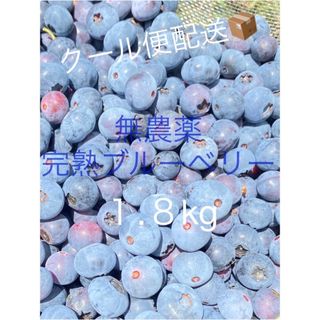 旬の時期です♡クール便送料込み❤︎贈答用無農薬生ブルーベリー1.8kg10日発送(フルーツ)