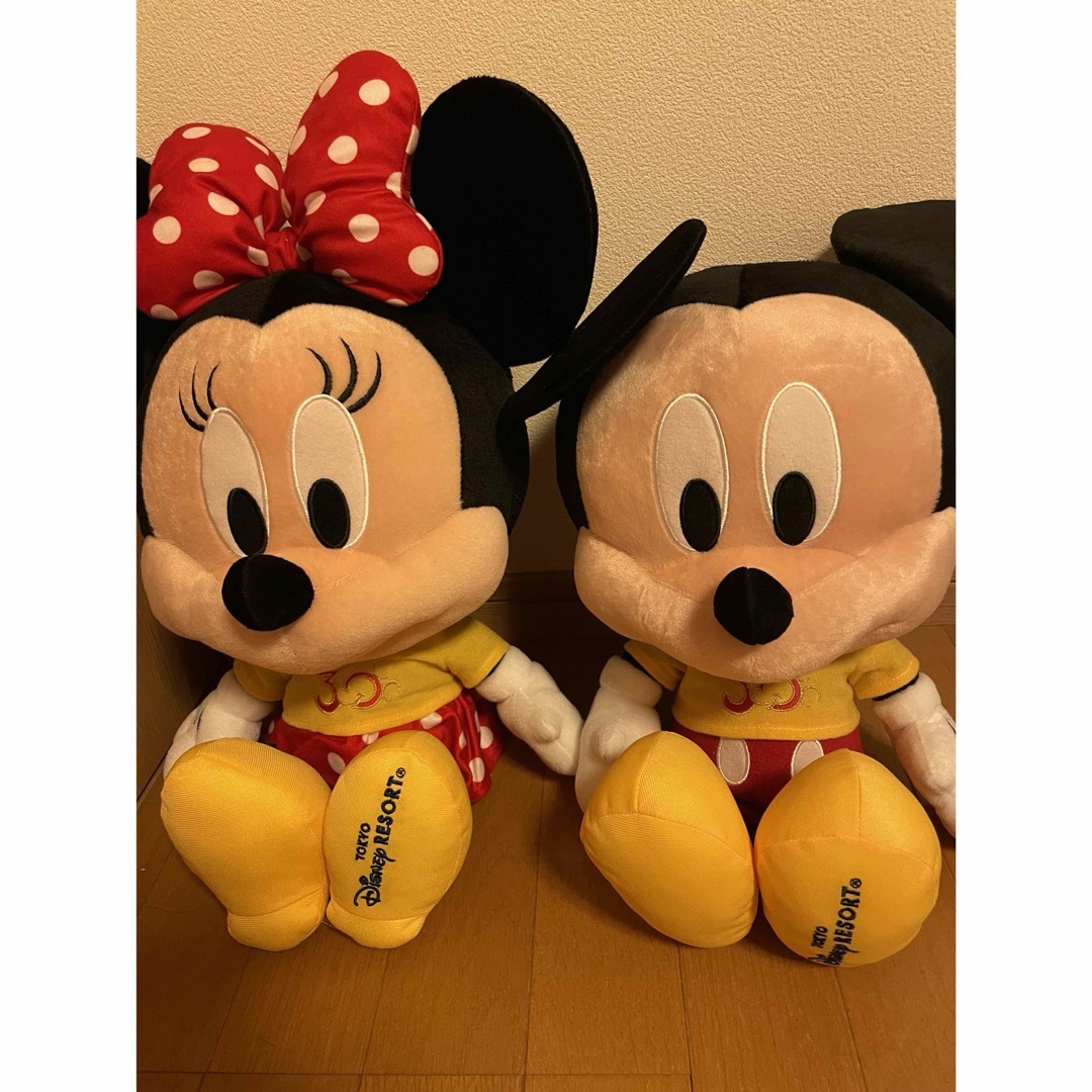 Disney(ディズニー)の❤️ディズニー❤️レア❤️ディズニーランド30周年❤️大量グッズ❤️ エンタメ/ホビーのおもちゃ/ぬいぐるみ(キャラクターグッズ)の商品写真