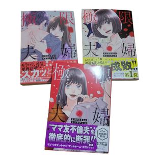 極限夫婦 1～3(青年漫画)