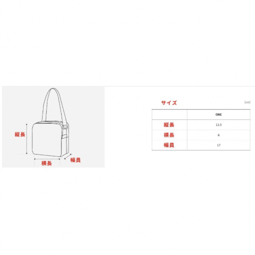 THE NORTH FACE(ザノースフェイス)の韓国ノースフェイスホワイトレーベルミニクロスバッグNN2PP06Oホワイト レディースのバッグ(ショルダーバッグ)の商品写真