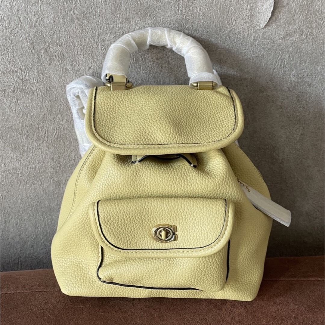 〔新品未使用〕COACH  CH789   リア　パックパック21