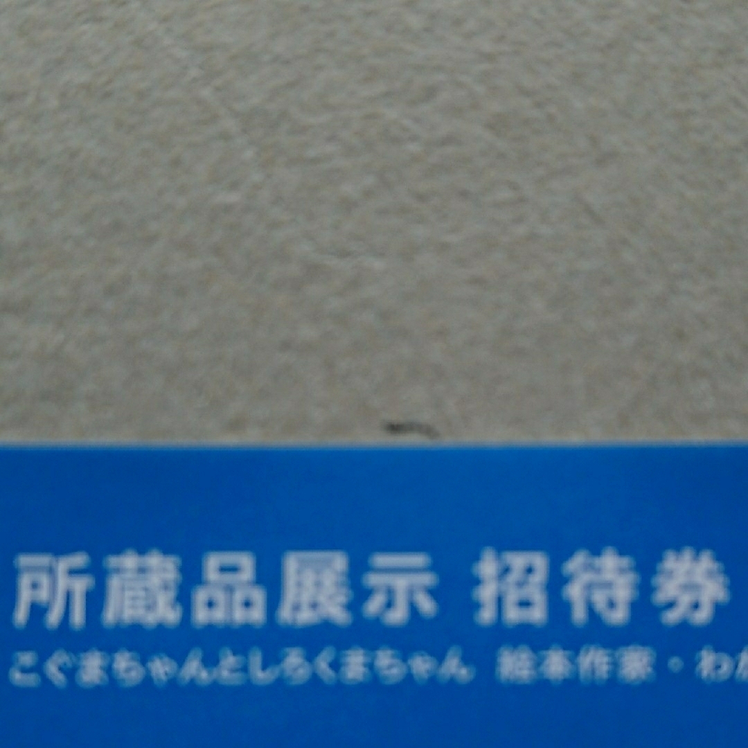こぐまちゃんとしろくまちゃん わかやまけん【招待券】岐阜県美術館 チケットの施設利用券(美術館/博物館)の商品写真
