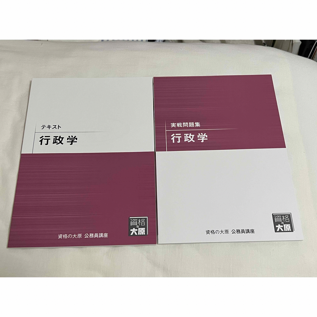 公務員試験 行政学 エンタメ/ホビーの本(資格/検定)の商品写真