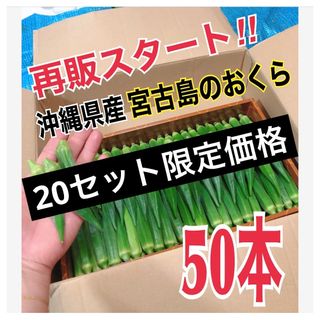 【50本】宮古島産　おくら　オクラ(野菜)