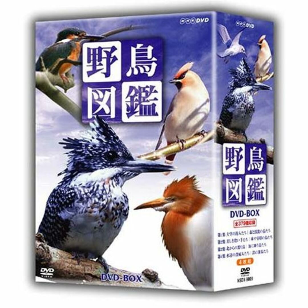 野鳥図鑑 DVD-BOX