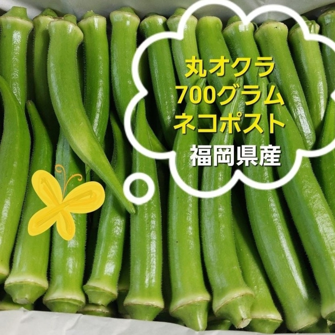 丸オクラ　700g　福岡県産 食品/飲料/酒の食品(野菜)の商品写真